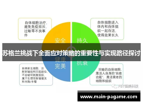 苏格兰挑战下全面应对策略的重要性与实现路径探讨